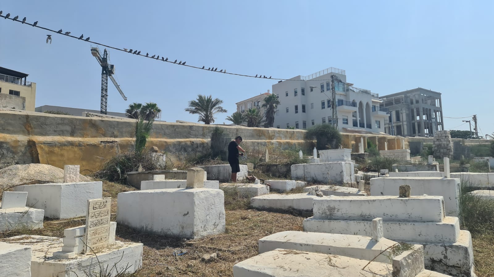 WhatsApp Image 2020-09-19 at 1.45.36 PM.jpeg.jpeg